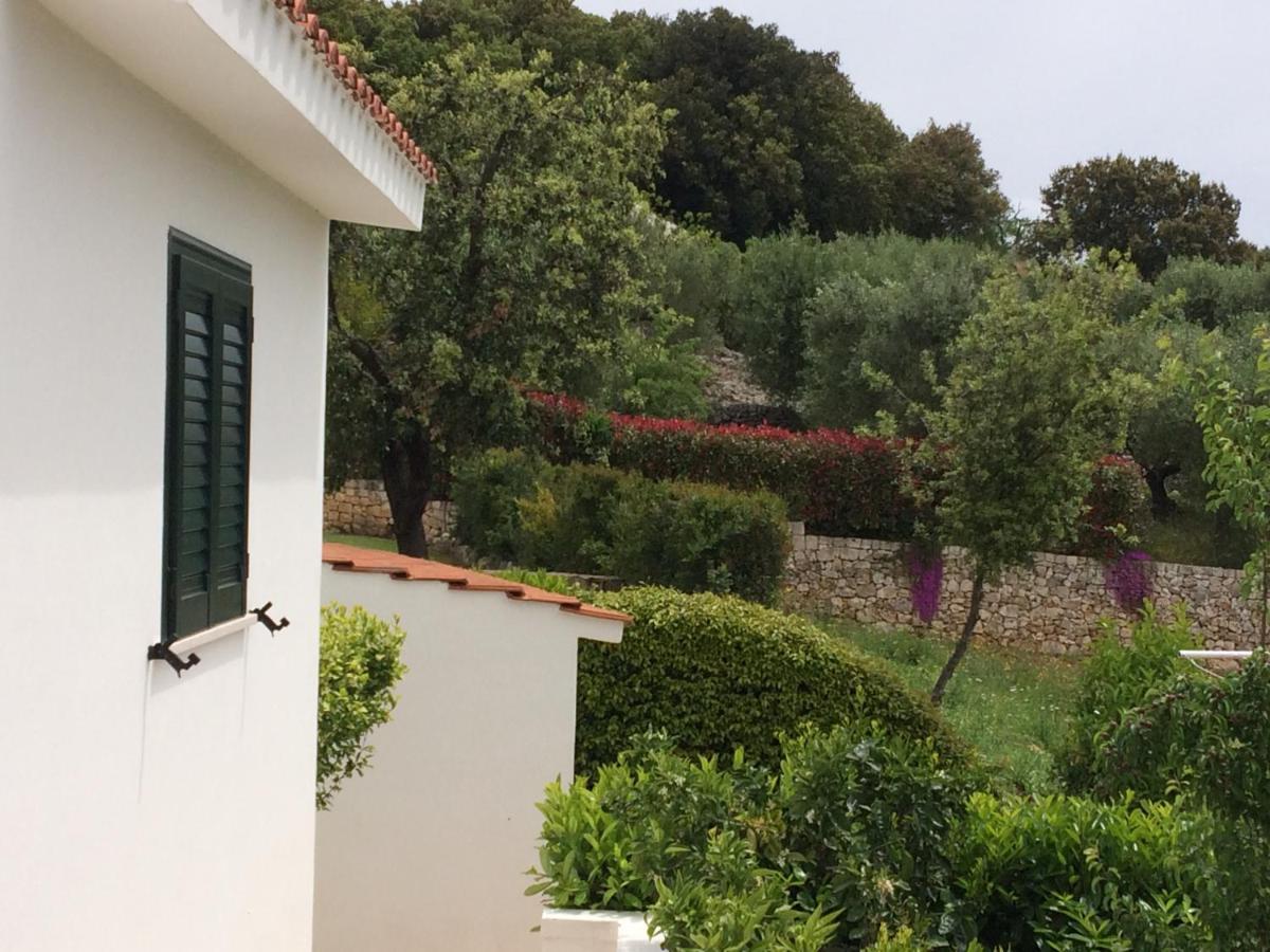 Il Quieto Uliveto Villa Ostuni Exterior photo